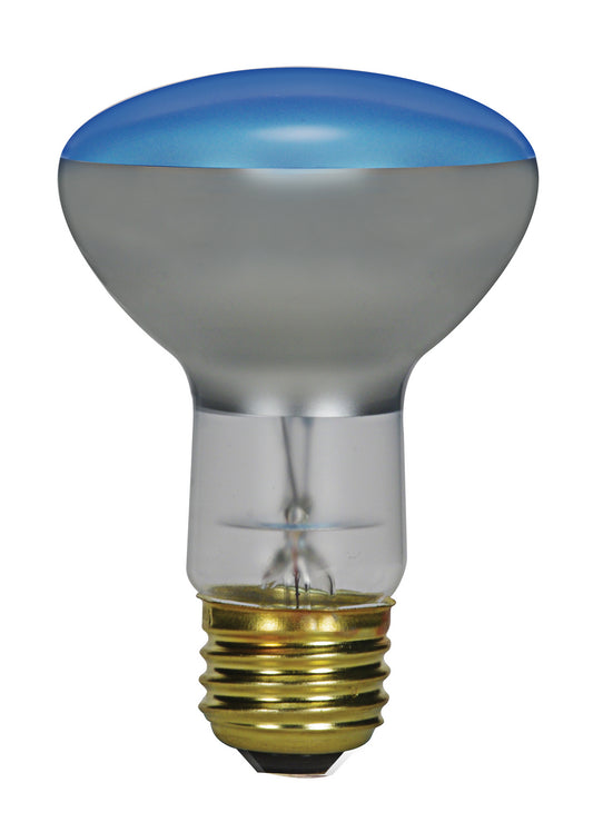 (4-Pack) Light Bulb in Blue