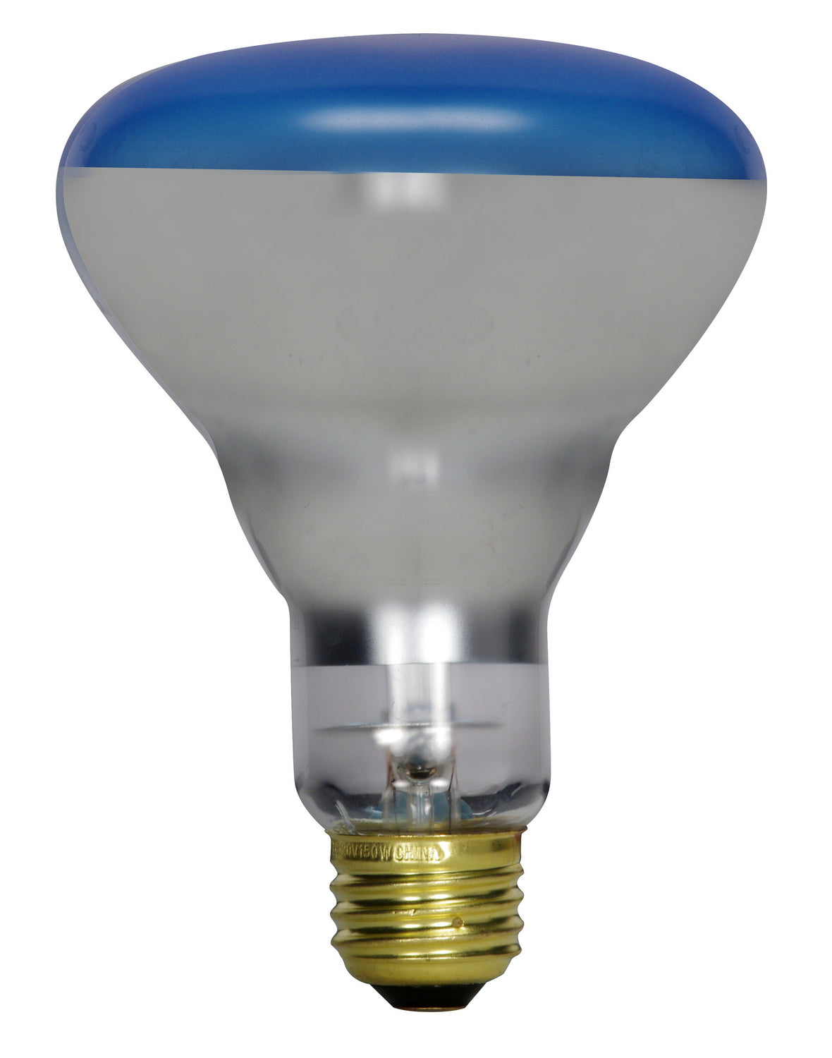 (4-Pack) Light Bulb in Blue