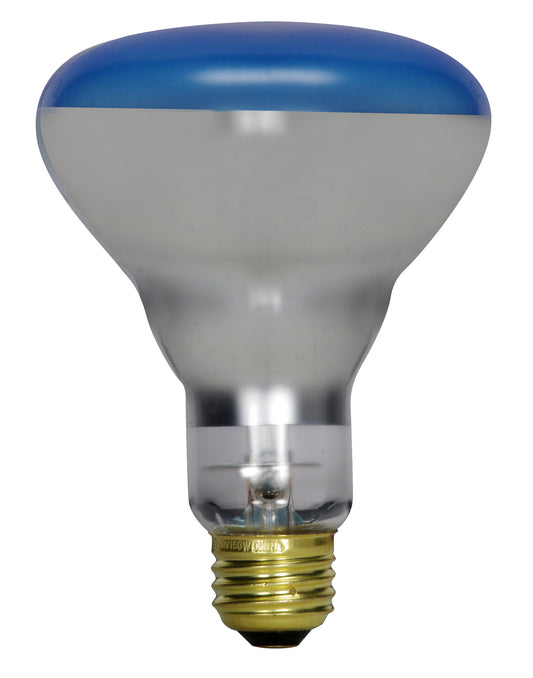 (4-Pack) Light Bulb in Blue