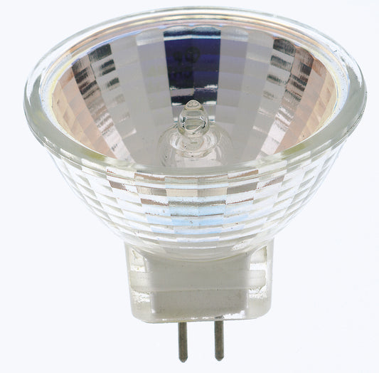 (4-Pack) Light Bulb in Clear