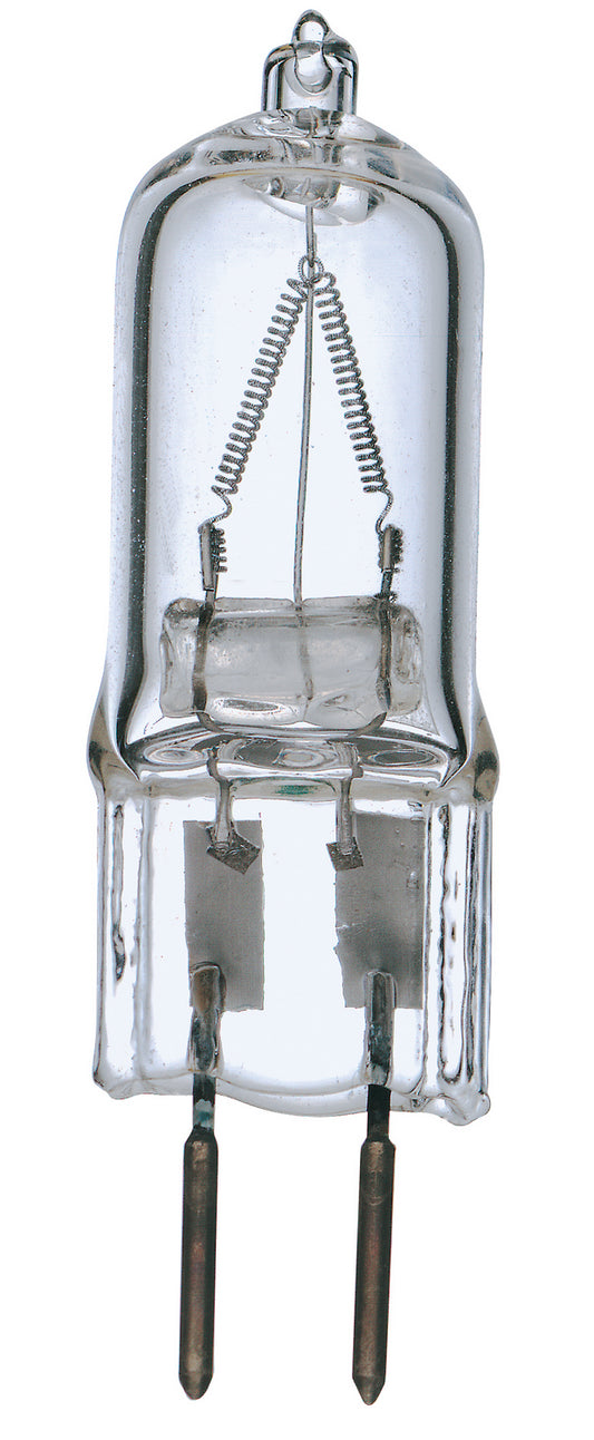 (4-Pack) Light Bulb in Clear
