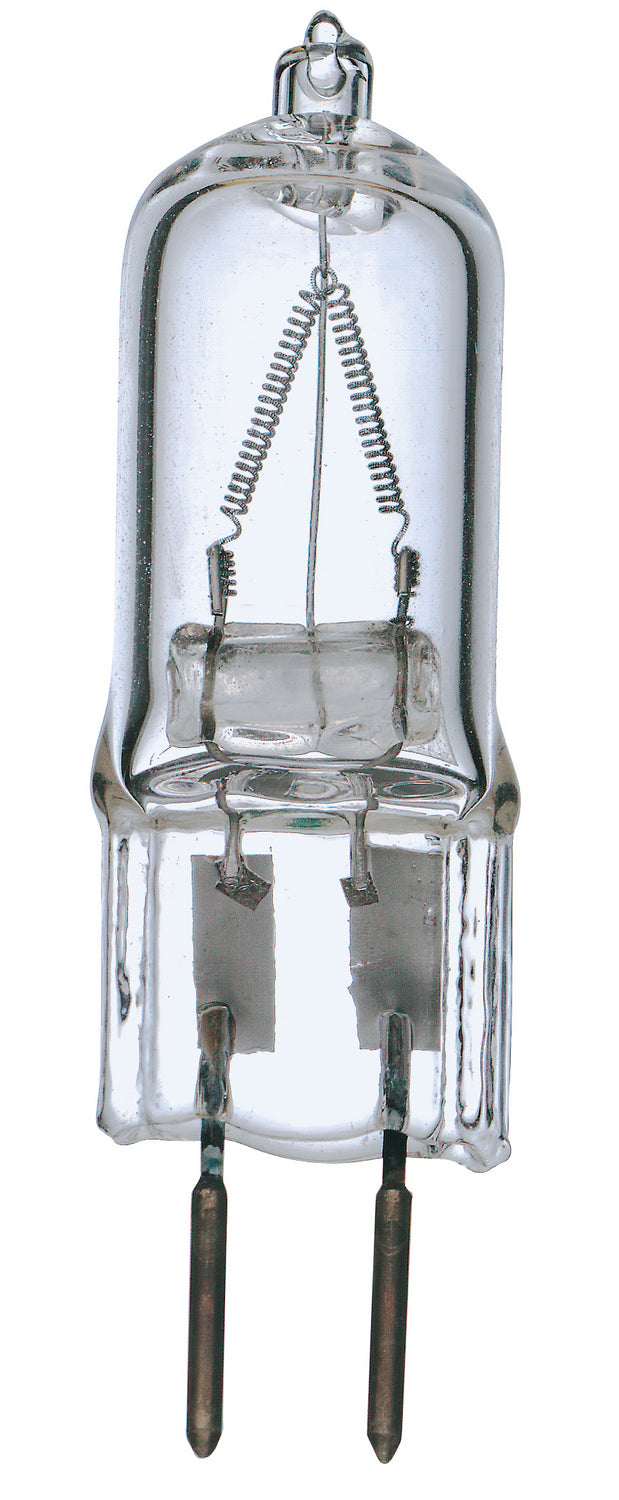 (4-Pack) Light Bulb in Clear