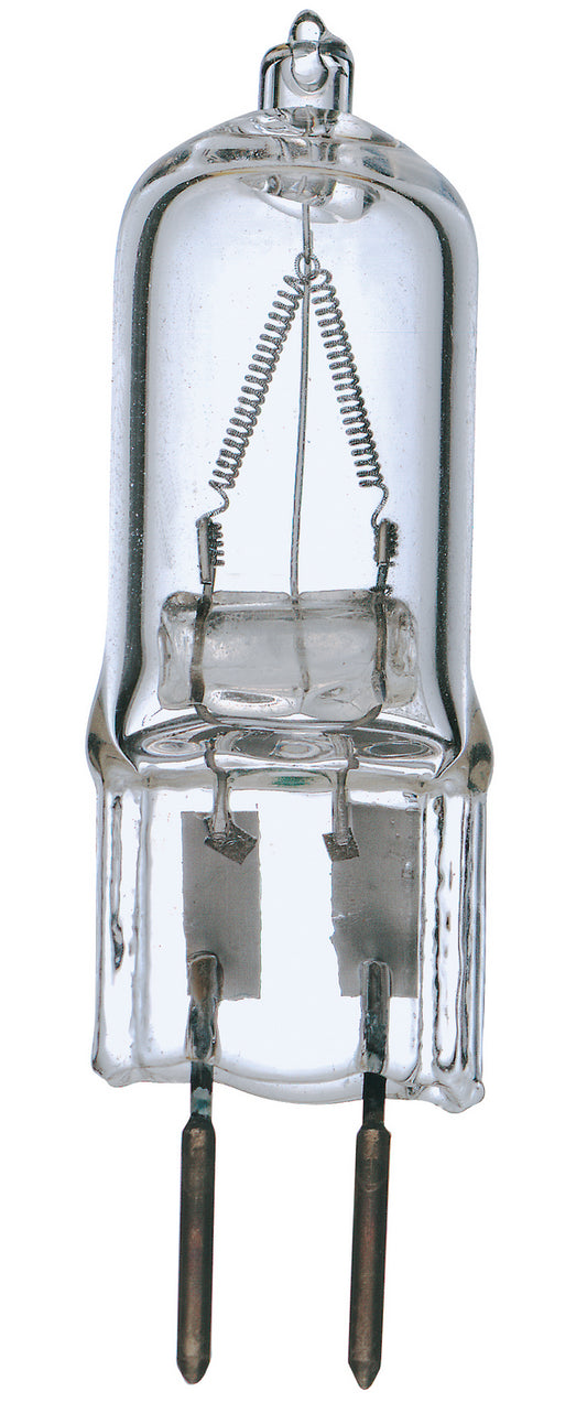 (4-Pack) Light Bulb in Clear
