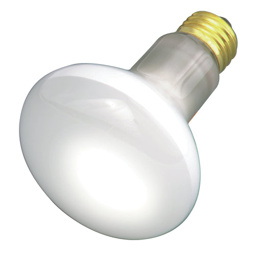 (4-Pack) Light Bulb in Frost