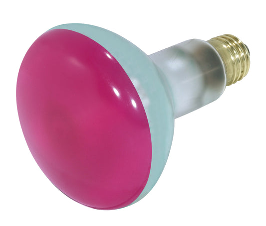 (4-Pack) Light Bulb in Pink