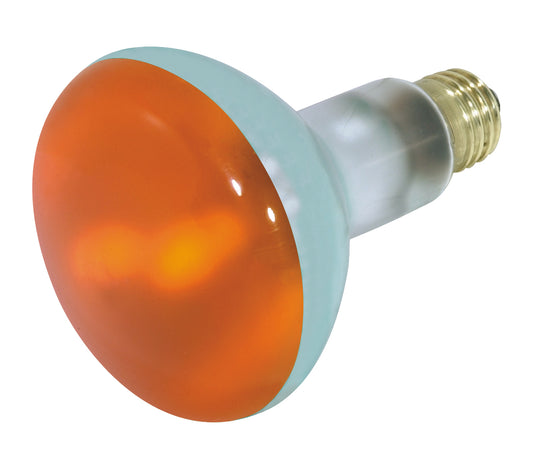 (4-Pack) Light Bulb in Amber