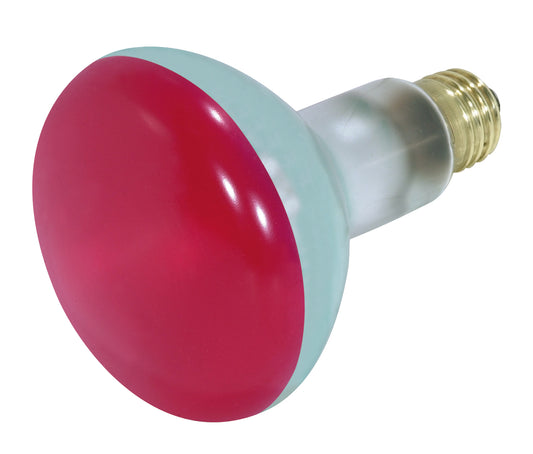 (4-Pack) Light Bulb in Red