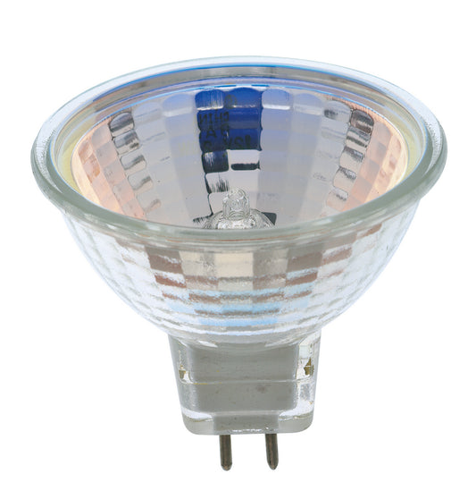 (4-Pack) Light Bulb in Clear