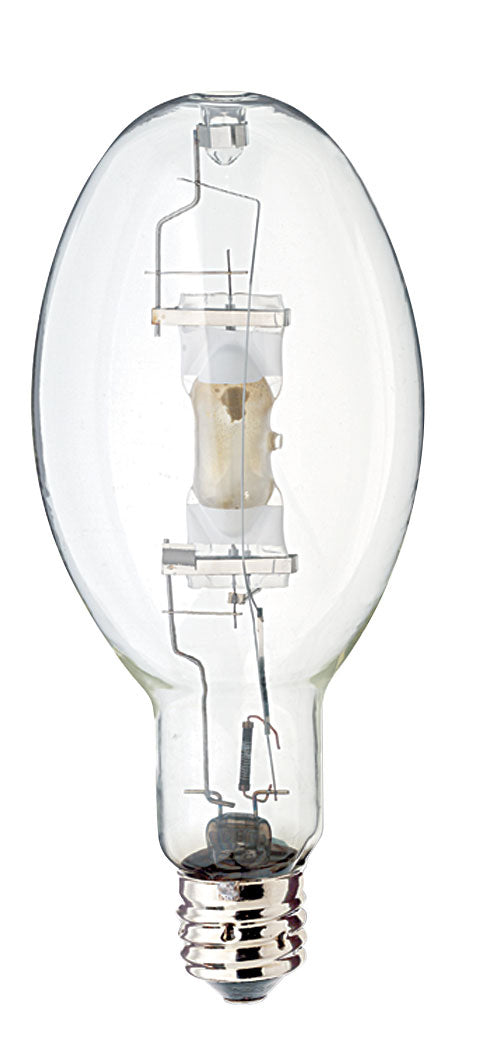 Light Bulb in Clear