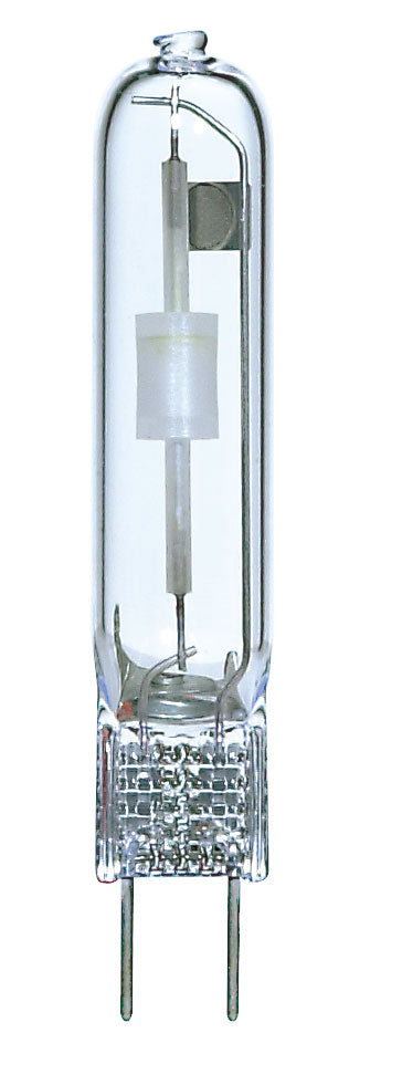 Light Bulb in Clear