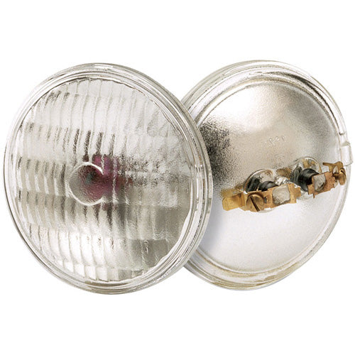 (4-Pack) Light Bulb in Translucent
