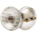 (4-Pack) Light Bulb in Clear