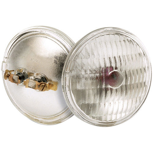 (4-Pack) Light Bulb in Clear
