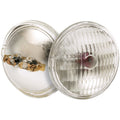 (4-Pack) Light Bulb in Clear