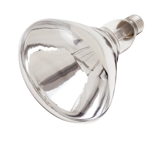 (4-Pack) Light Bulb in Clear Heat