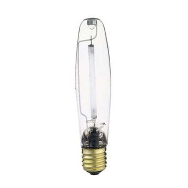 Light Bulb in Clear