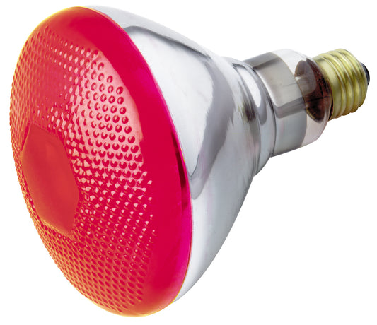 (4-Pack) Light Bulb in Red