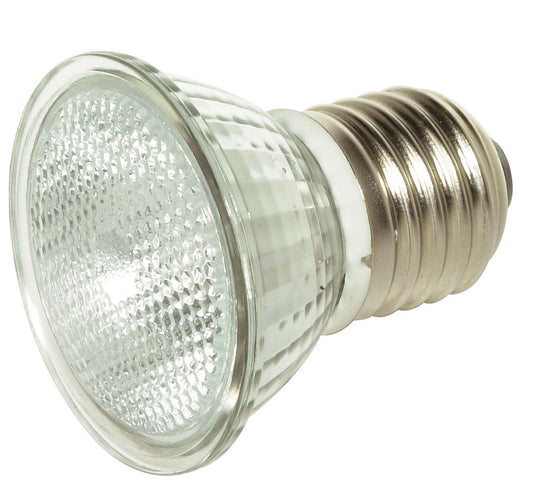 (4-Pack) Light Bulb in Clear