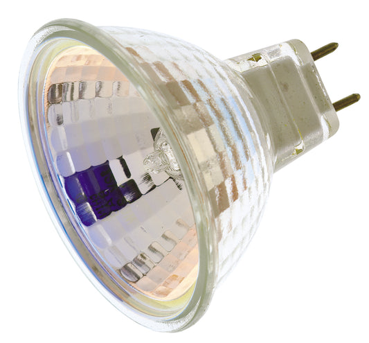 (4-Pack) Light Bulb in Clear