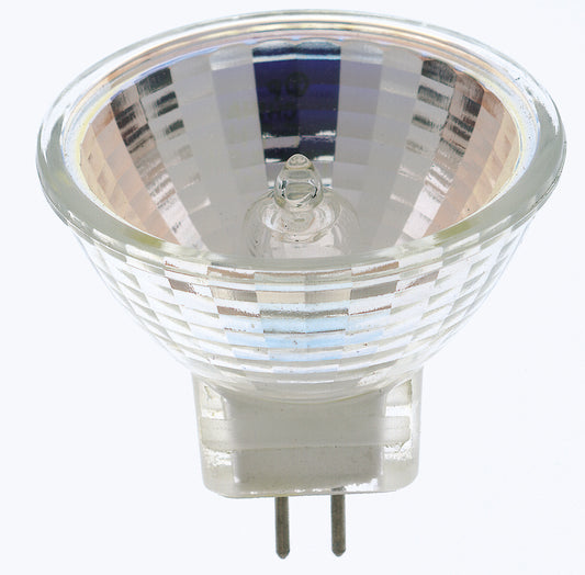 (4-Pack) Light Bulb in Clear
