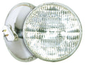 Light Bulb in Clear