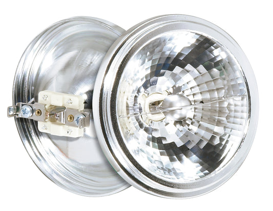 (4-Pack) Light Bulb in Clear