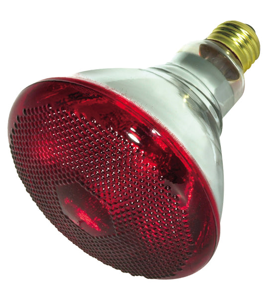 (4-Pack) Light Bulb in Red Heat