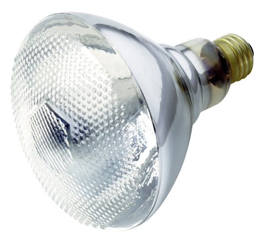 (4-Pack) Light Bulb in Clear