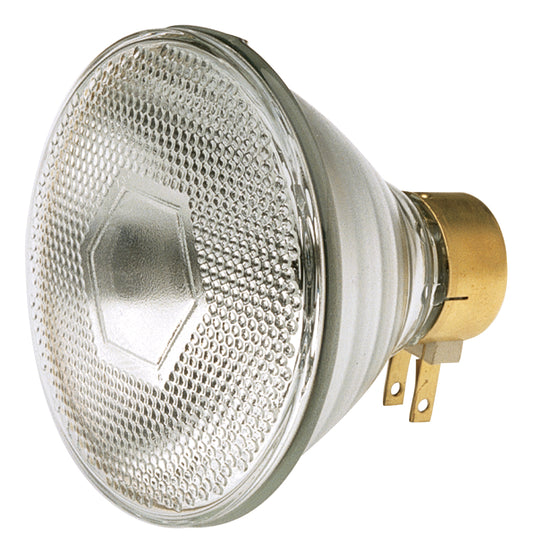 (4-Pack) Light Bulb in Clear