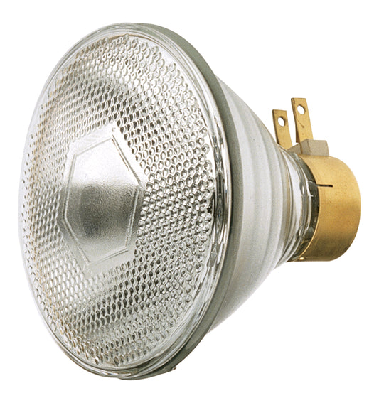(4-Pack) Light Bulb in Clear