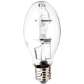 Light Bulb in Clear