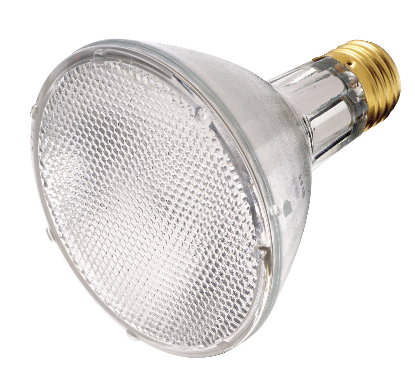 Light Bulb in Clear