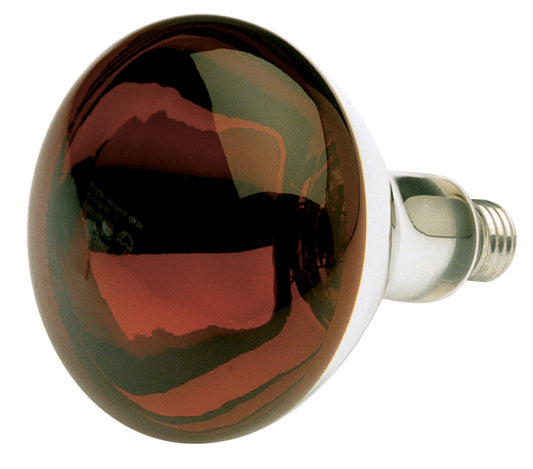 (4-Pack) Light Bulb in Red Heat