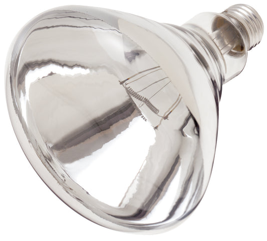 (4-Pack) Light Bulb in Clear Heat