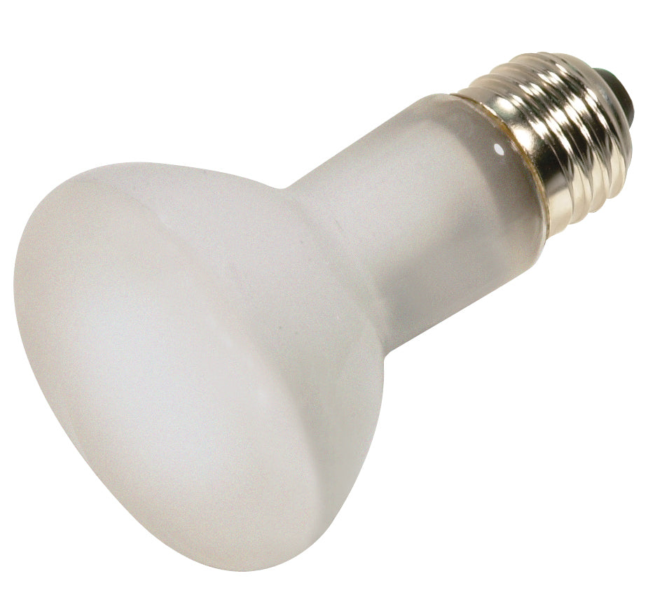 (4-Pack) Light Bulb in Frost