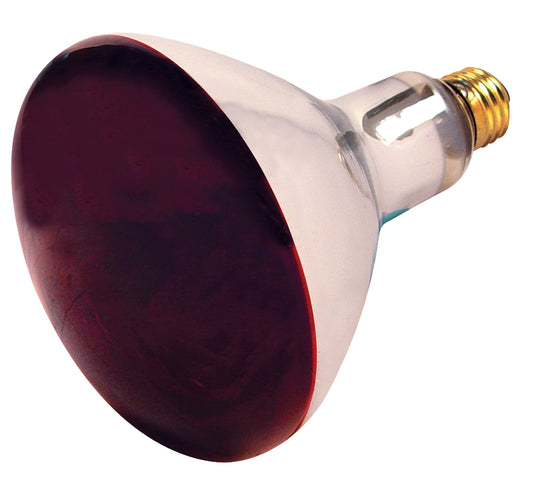 (4-Pack) Light Bulb in Red Heat
