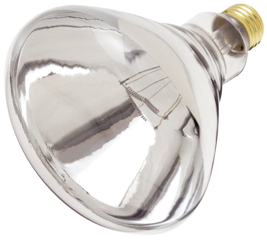 (4-Pack) Light Bulb in Clear Heat