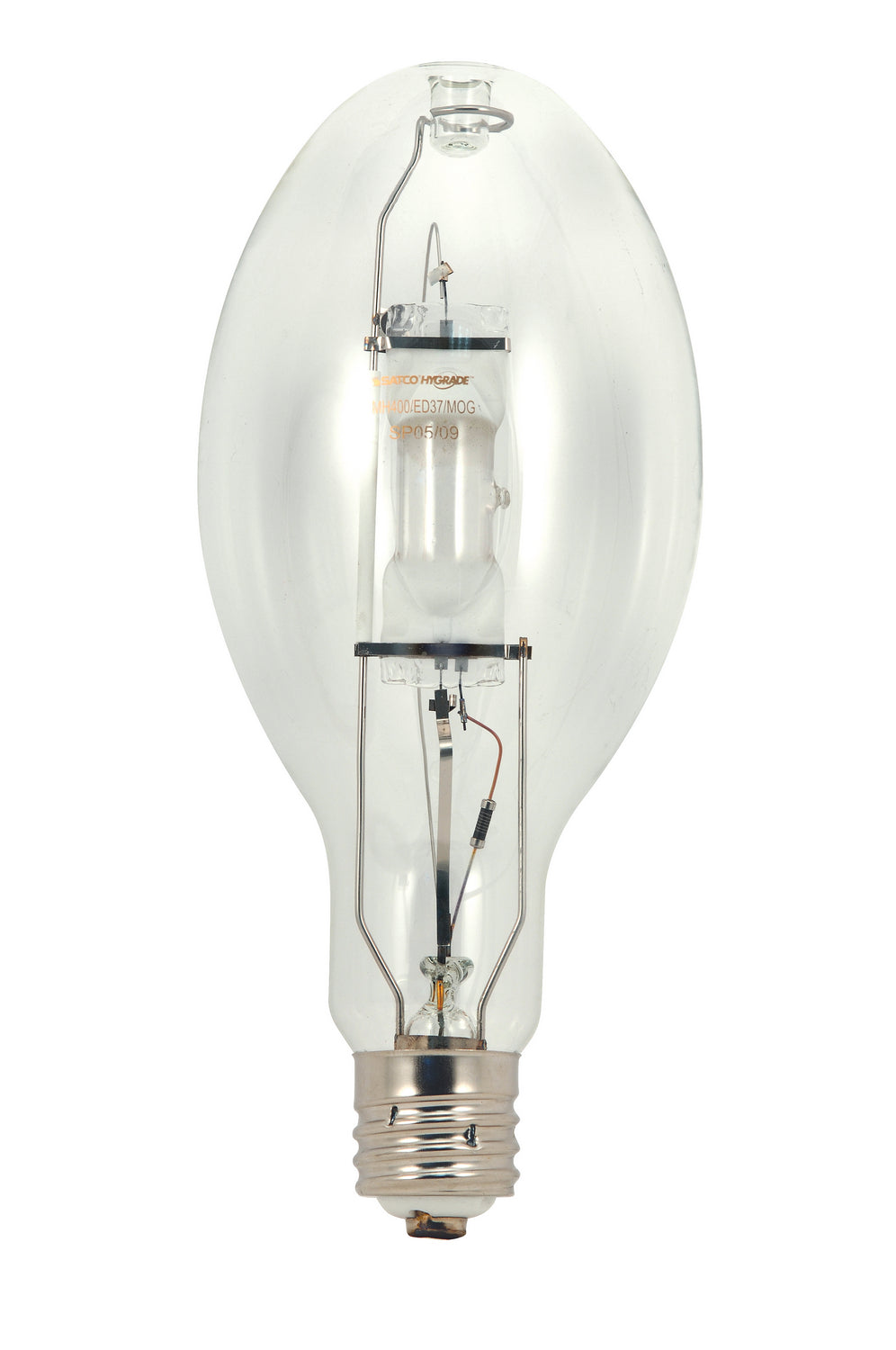 Light Bulb in Clear