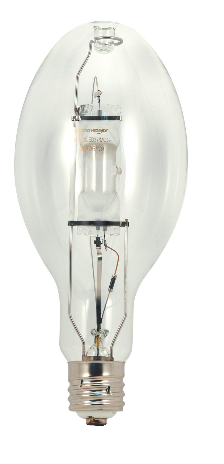 Light Bulb in Clear