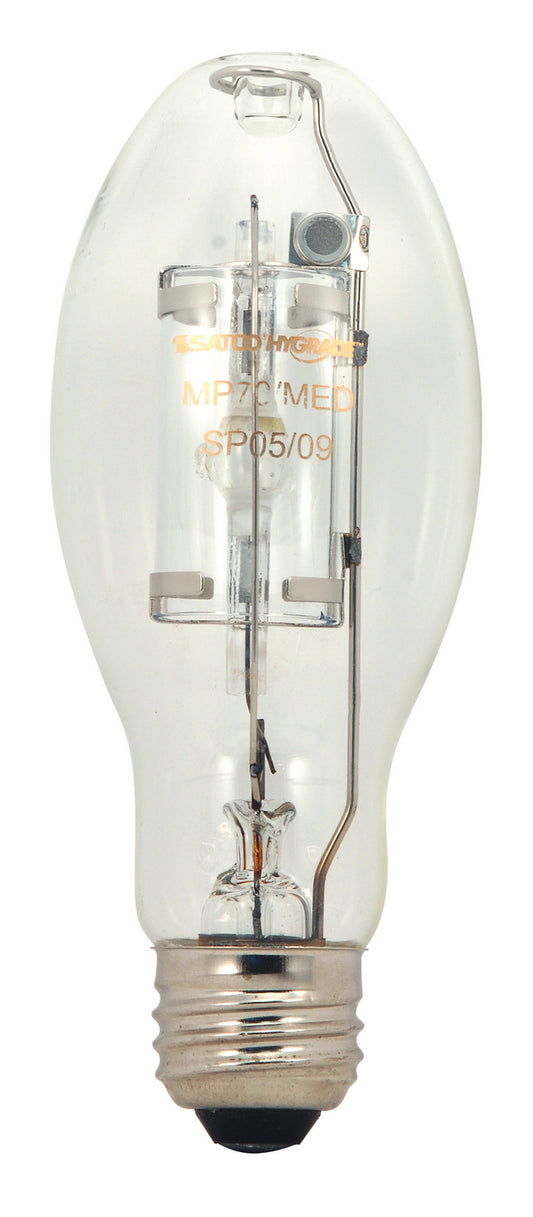 (4-Pack) Light Bulb in Clear