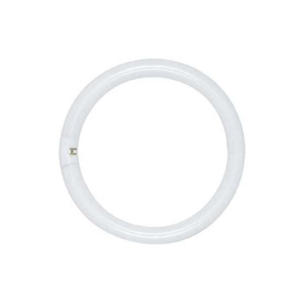 (4-Pack) Light Bulb in Soft White