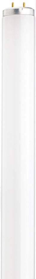 Satco - S6563 - Light Bulb - Frost