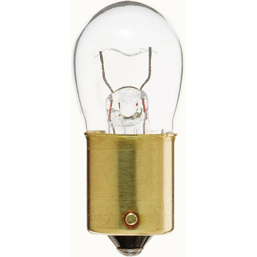 (4-Pack) Light Bulb in Clear