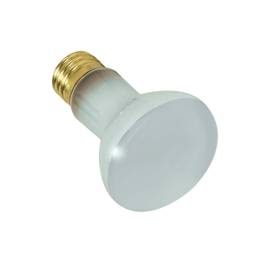 (4-Pack) Light Bulb in Frost