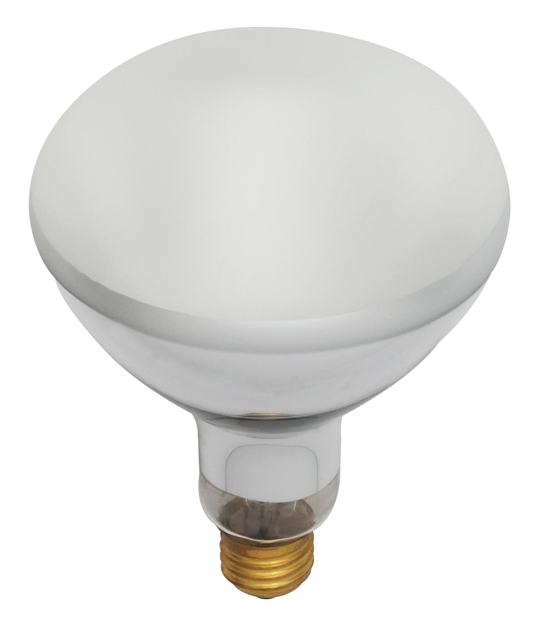 (4-Pack) Light Bulb in Frost
