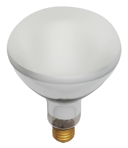 (4-Pack) Light Bulb in Frost