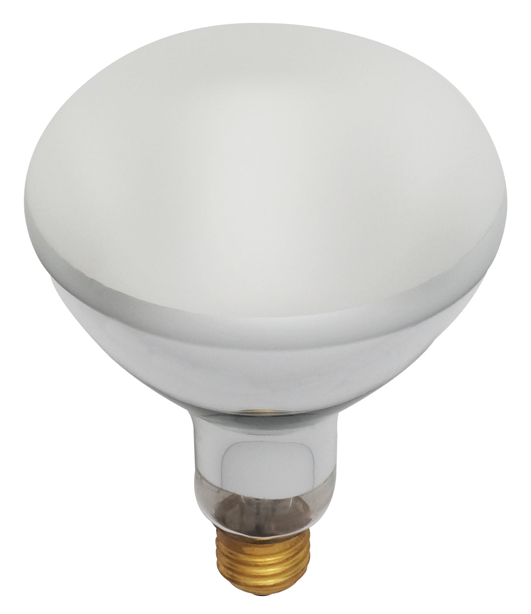 (4-Pack) Light Bulb in Frost