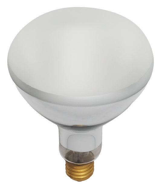 (4-Pack) Light Bulb in Frost