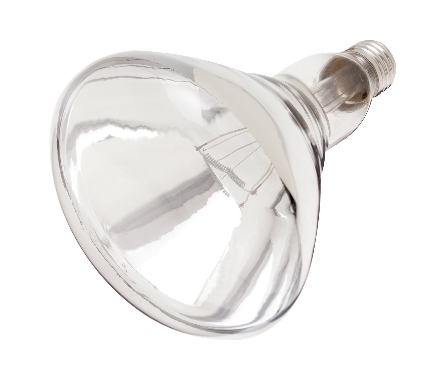 (4-Pack) Light Bulb in Clear Heat