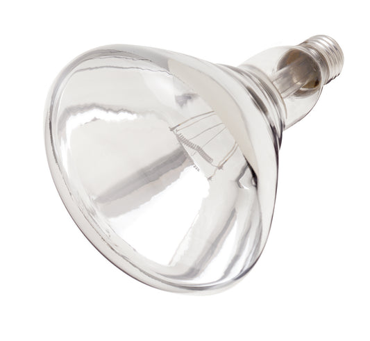 (4-Pack) Light Bulb in Clear Heat